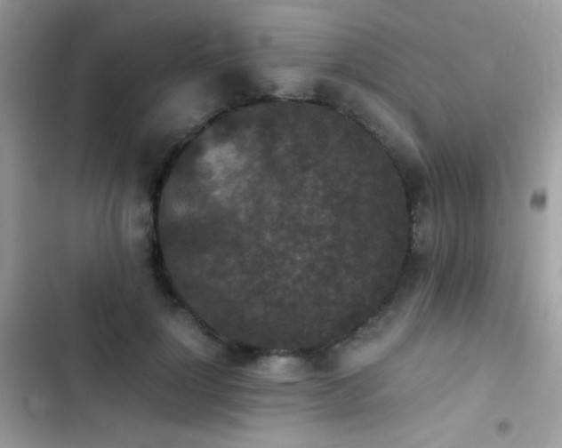 X0000103960748200809191511