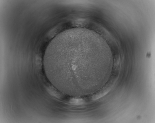X0000103960749200809191511