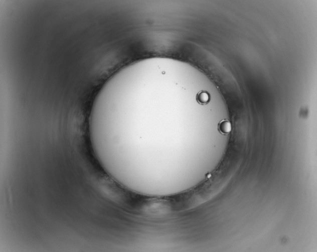 X0000103960750200809191511