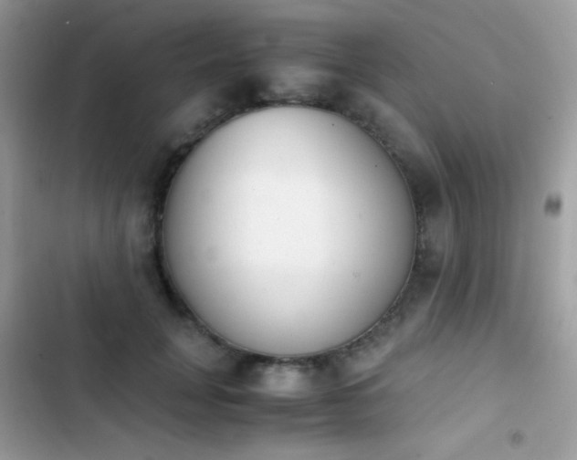 X0000103960751200809191511