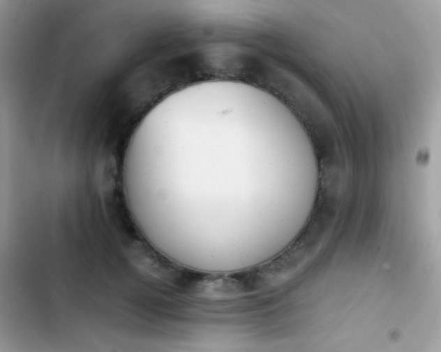 X0000103960752200809191511