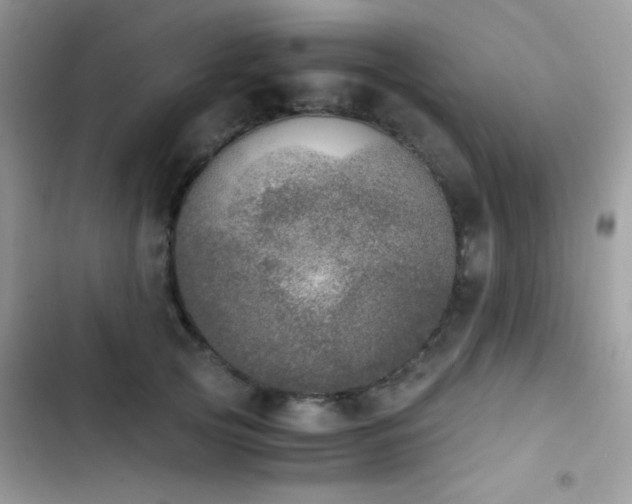 X0000103960753200809191511