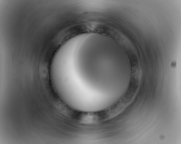 X0000103960754200809191511