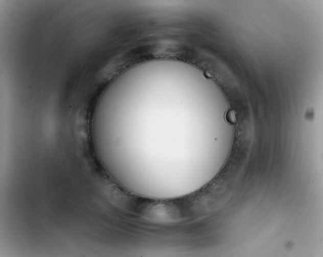 X0000103960755200809191511