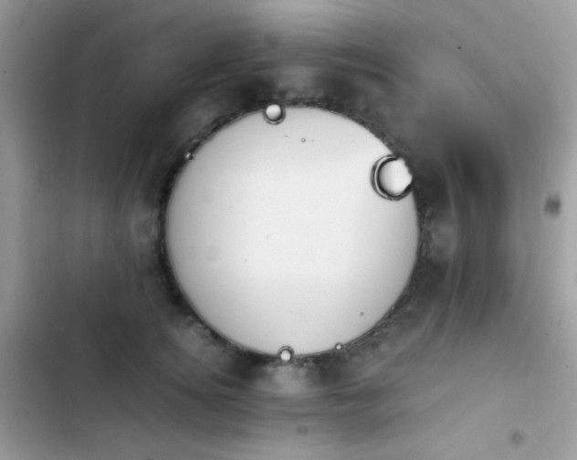 X0000103960756200809191511