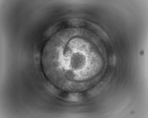 X0000103960757200809191511