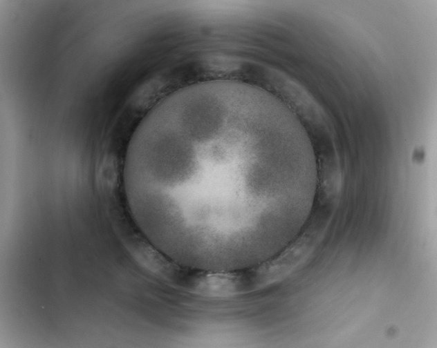 X0000103960758200809191511