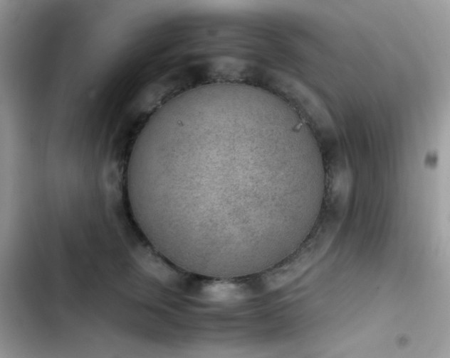 X0000103960759200809191511