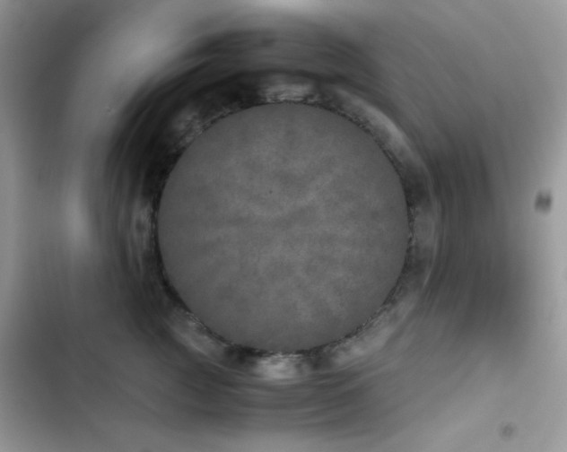 X0000103960761200809191511