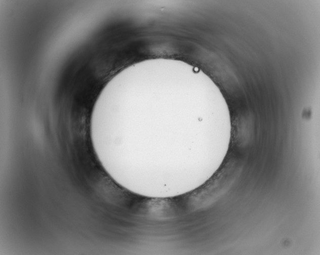 X0000103960762200809191511