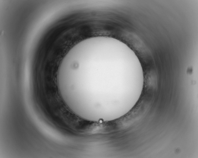 X0000103960764200809191511