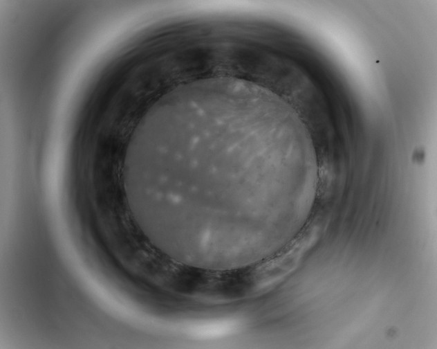 X0000103960765200809191511
