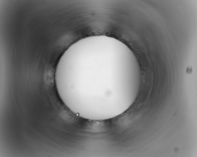 X0000103960768200809191511