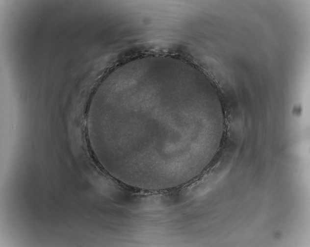 X0000103960769200809191511
