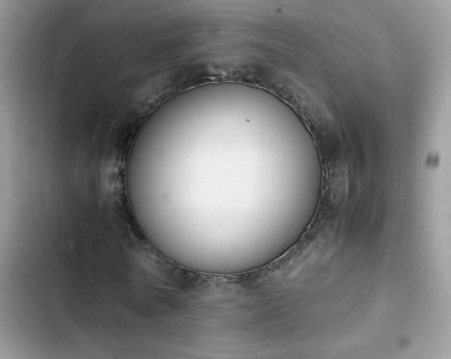 X0000103960770200809191511