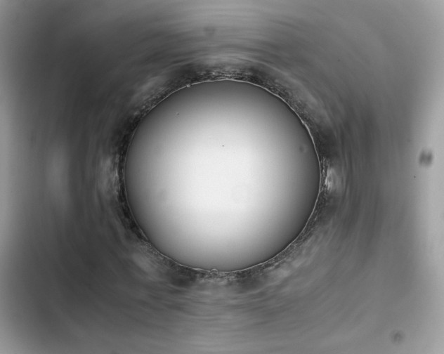 X0000103960771200809191511