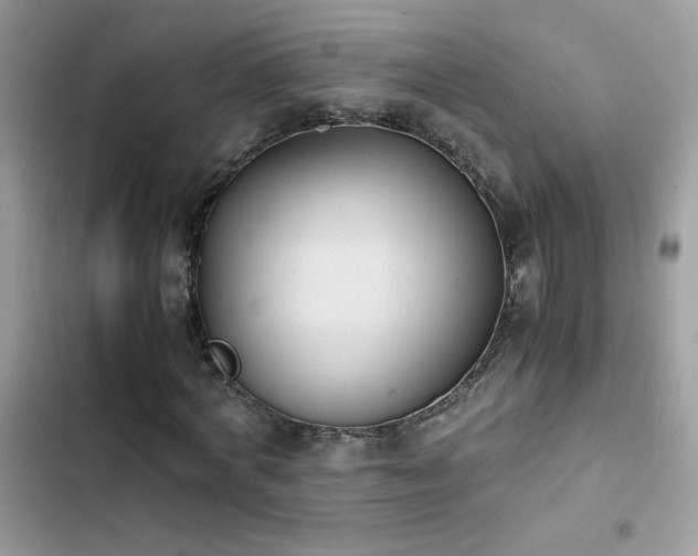 X0000103960772200809191511
