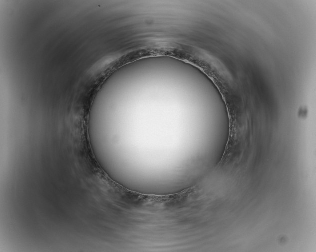 X0000103960773200809191511