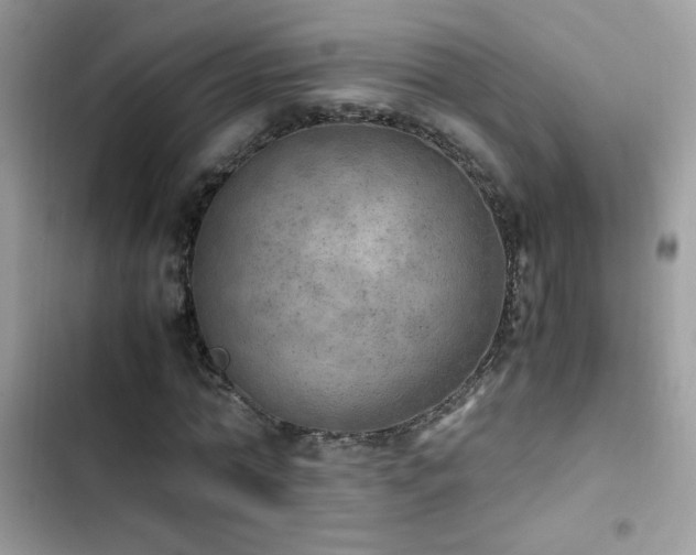 X0000103960774200809191511