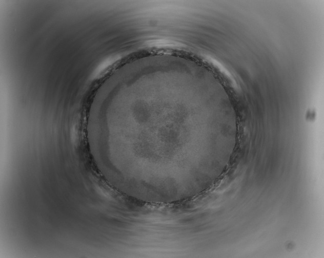 X0000103960775200809191510