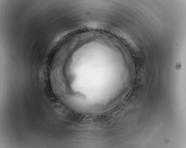 X0000103960776200809191510