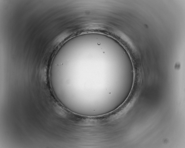 X0000103960777200809191510