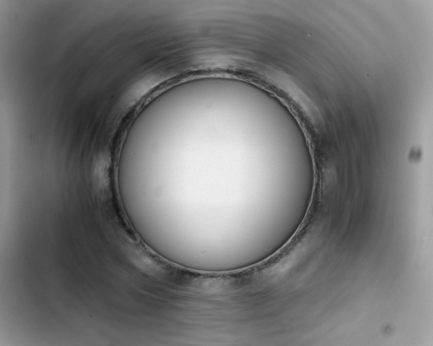 X0000103960778200809191510