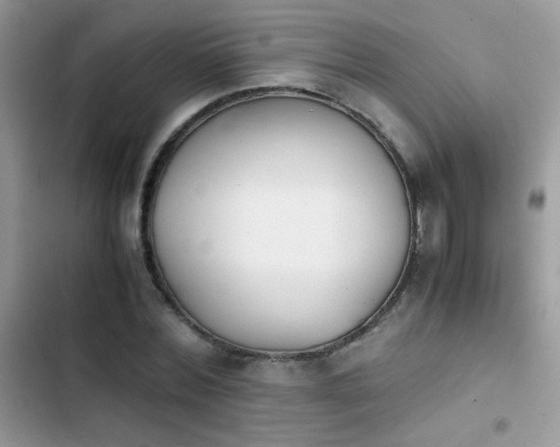 X0000103960780200809191510