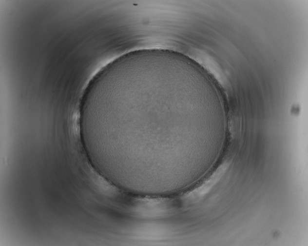 X0000103960781200809191510