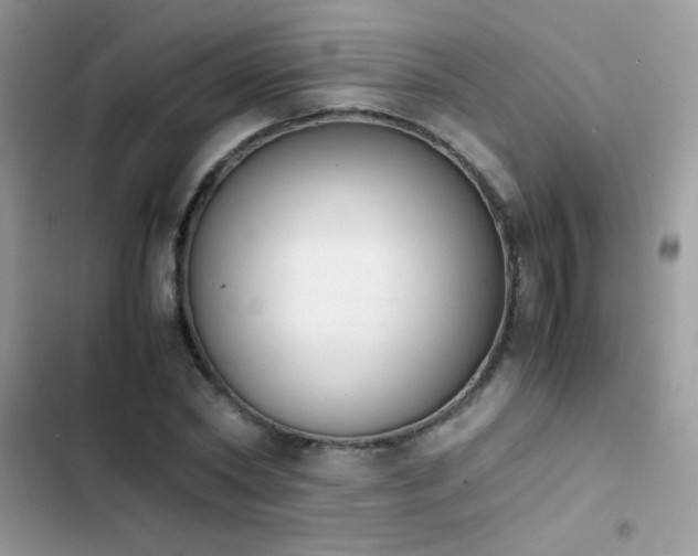 X0000103960782200809191510