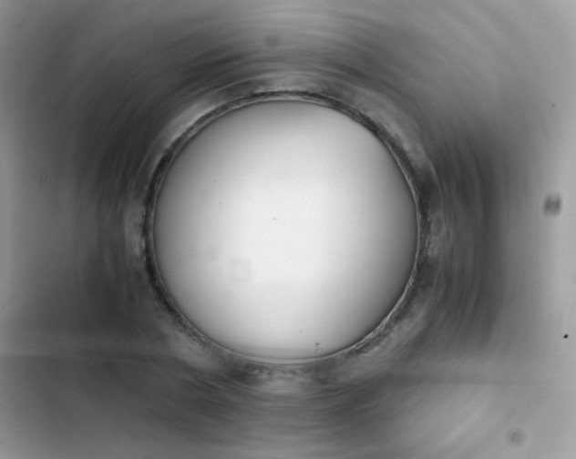 X0000103960786200809191510
