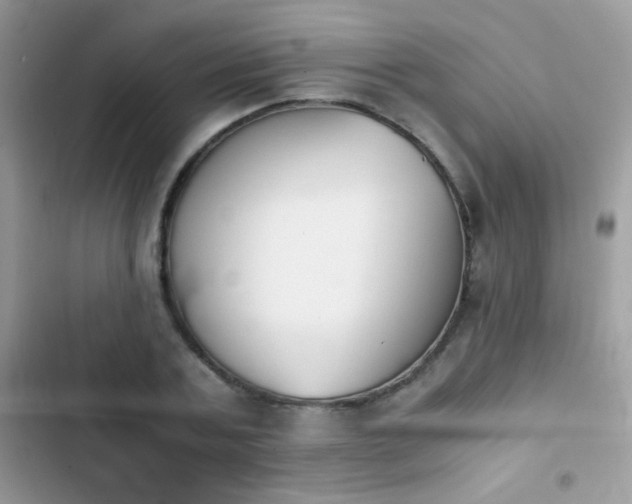 X0000103960787200809191510