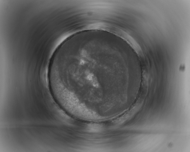 X0000103960788200809191510