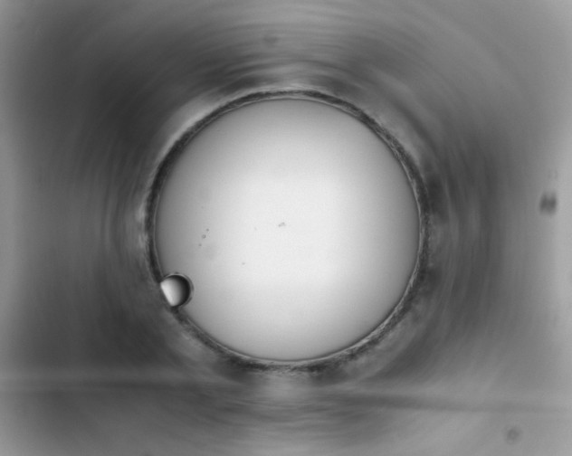 X0000103960789200809191510