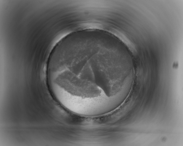 X0000103960790200809191510