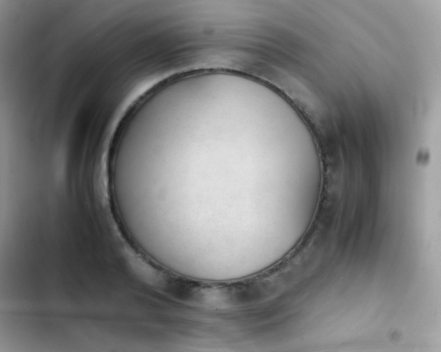 X0000103960792200809191510