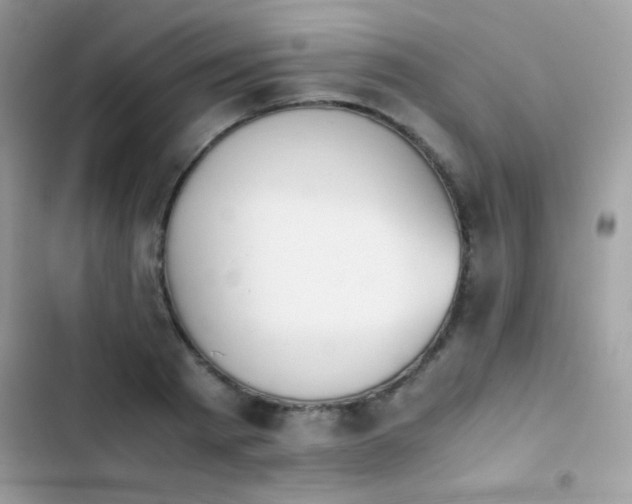 X0000103960793200809191510