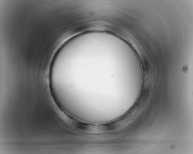 X0000103960795200809191510