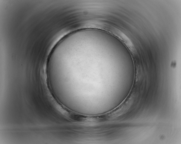 X0000103960796200809191510