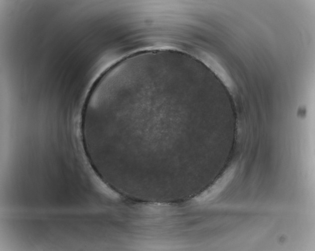X0000103960797200809191510