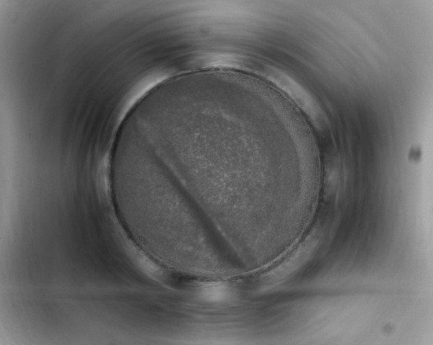 X0000103960798200809191510