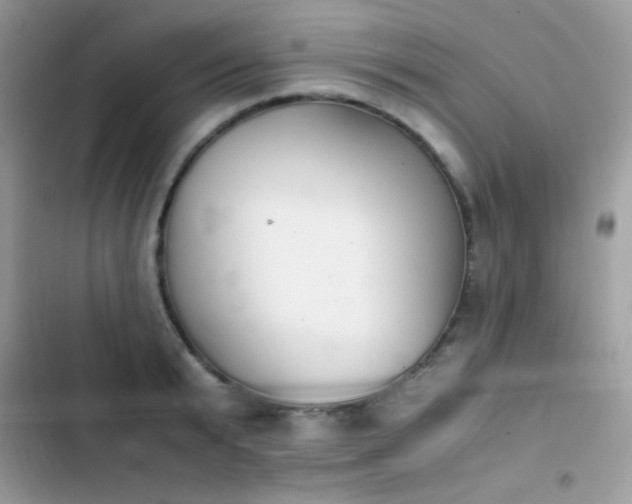 X0000103960799200809191510