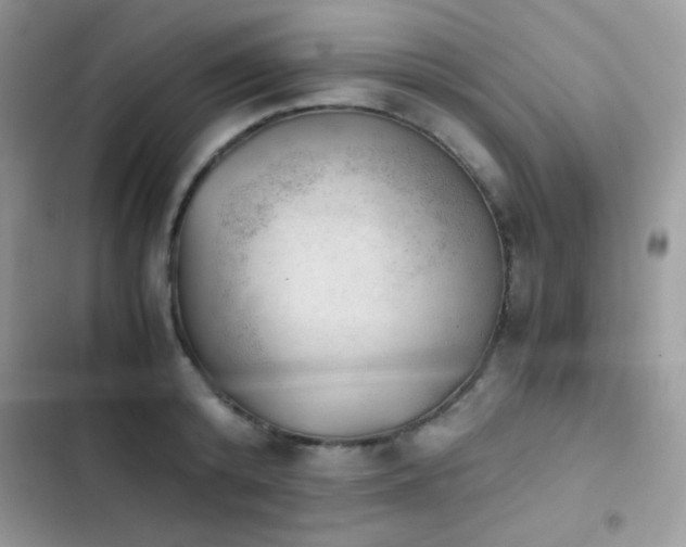 X0000103960800200809191510