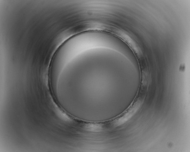 X0000103960802200809191510