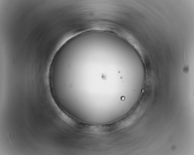 X0000103960803200809191510