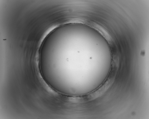 X0000103960804200809191510
