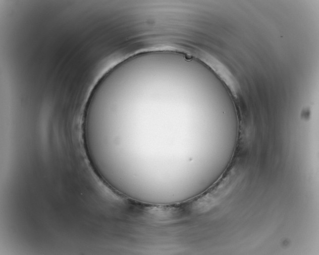 X0000103960805200809191510