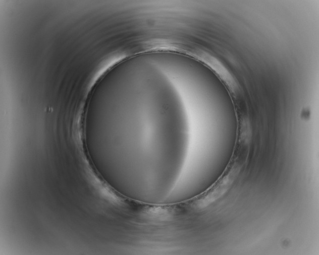 X0000103960806200809191510