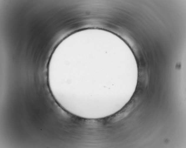 X0000103960807200809191510