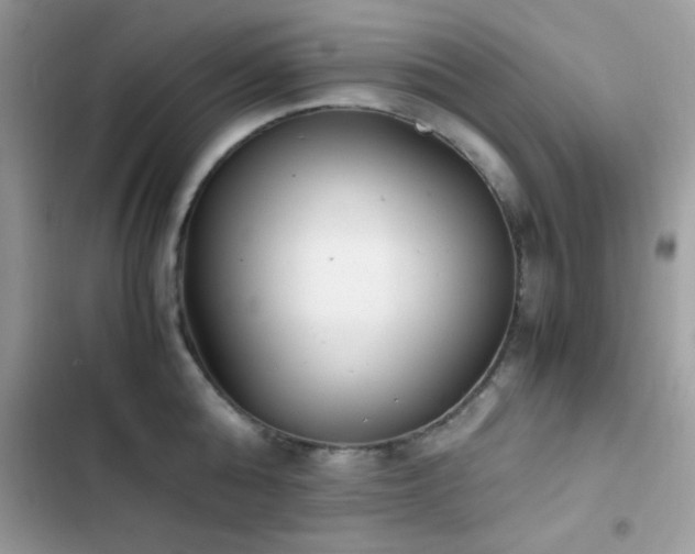 X0000103960808200809191510
